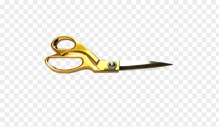 Gold Scissors Opening Ceremony PNG