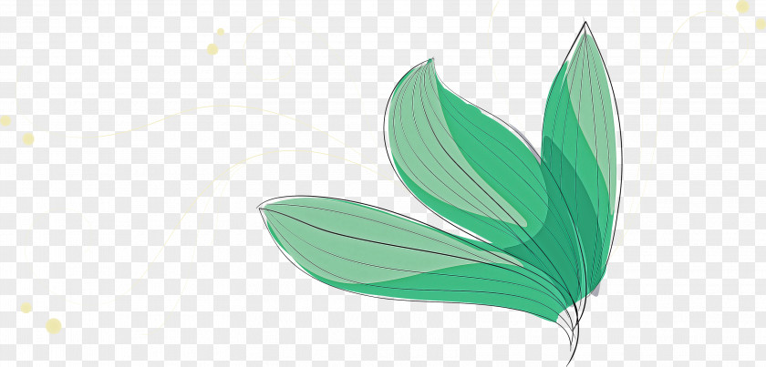 Leaf Green Meter Flower Plants PNG