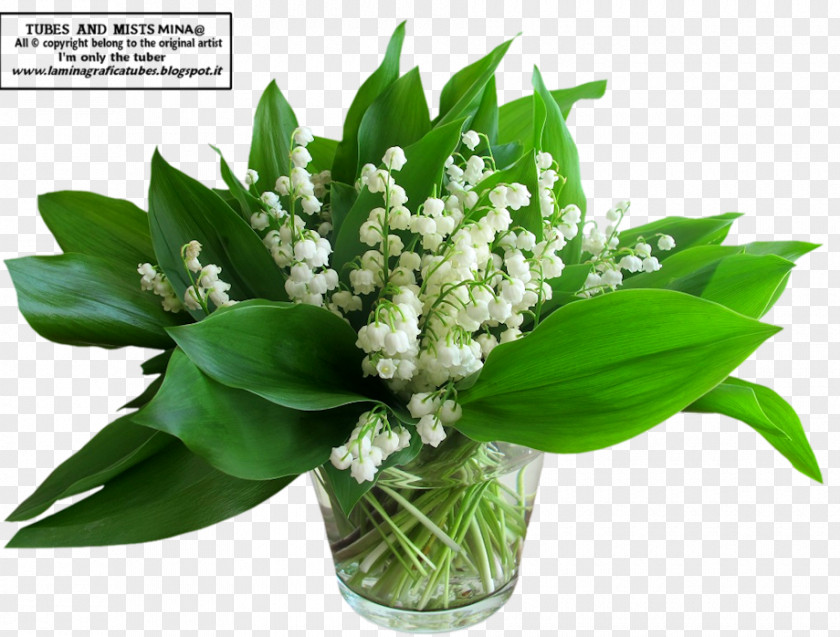 Lily Of The Valley Flower Bouquet Lilium Cut Flowers PNG