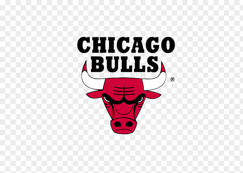 Basketball Team Icon Chicago Bulls NBA Cleveland Cavaliers Golden State Warriors PNG