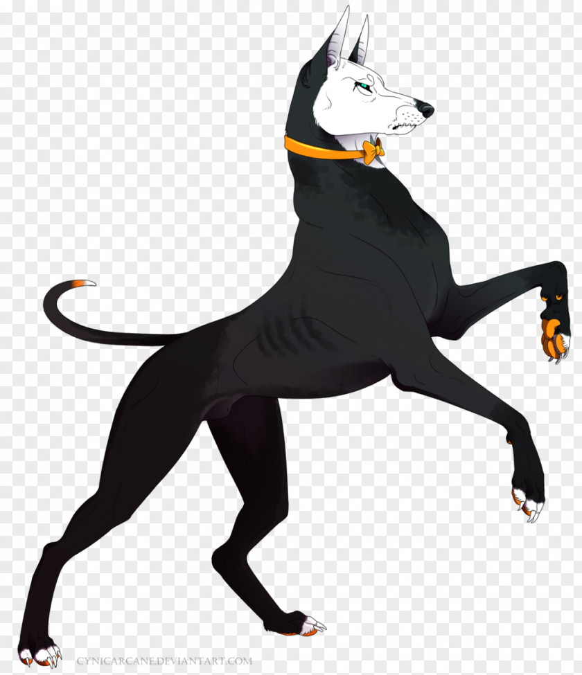 Dog Breed Cat Character PNG