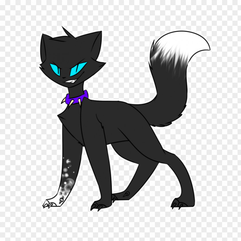 Kitten Black Cat Whiskers Canidae PNG