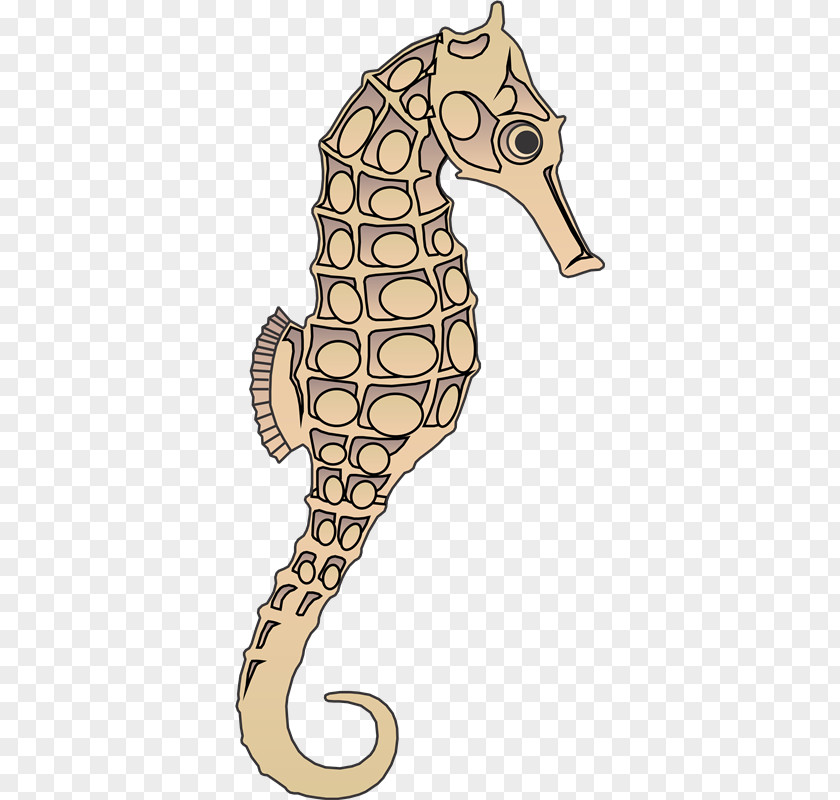 Uf Seahorse Blog Giraffe Clip Art PNG