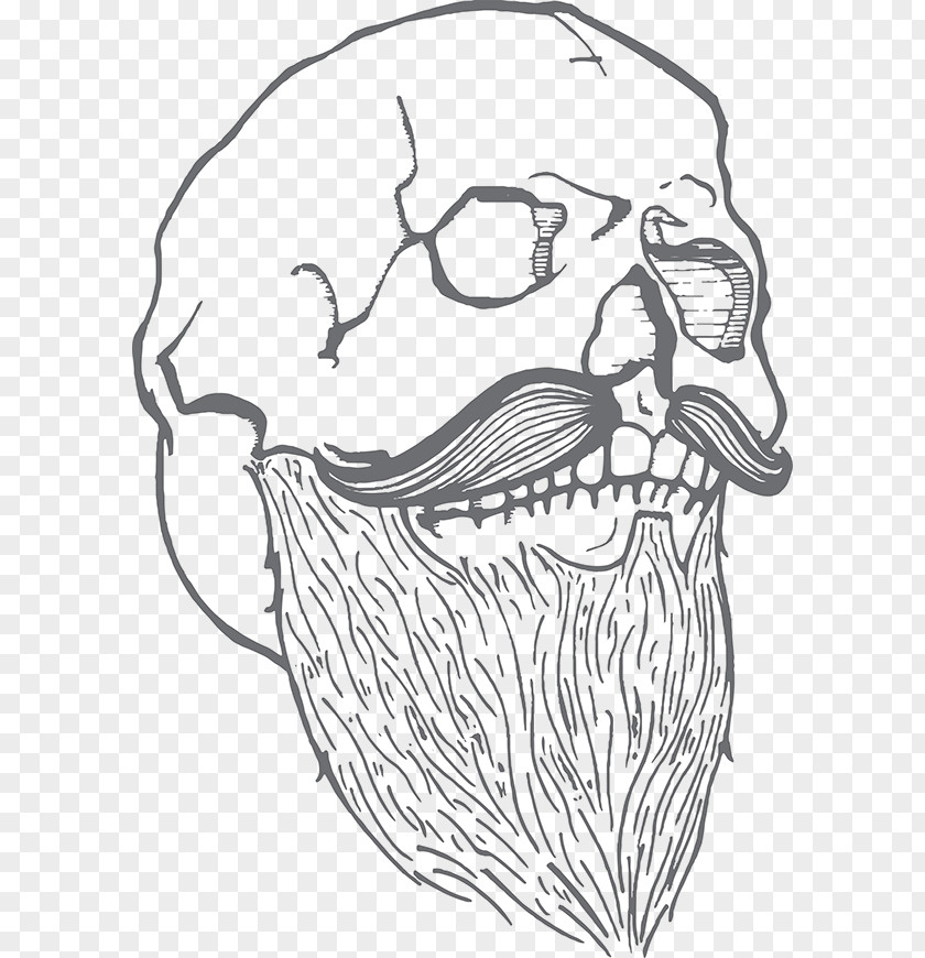 Bearded Skull Homo Sapiens Drawing Visual Arts Clip Art PNG