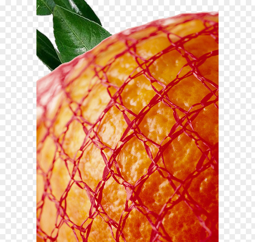 Christmas Fruit Orange Grapefruit Mandarin Auglis Pomelo PNG