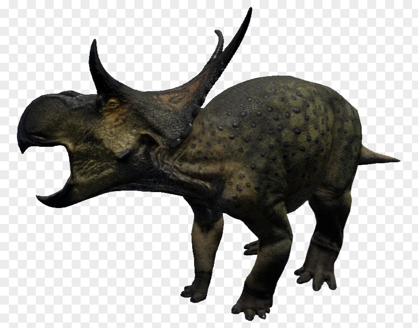 Dinosaur Diabloceratops Avaceratops Maiasaura Triceratops Pachyrhinosaurus PNG