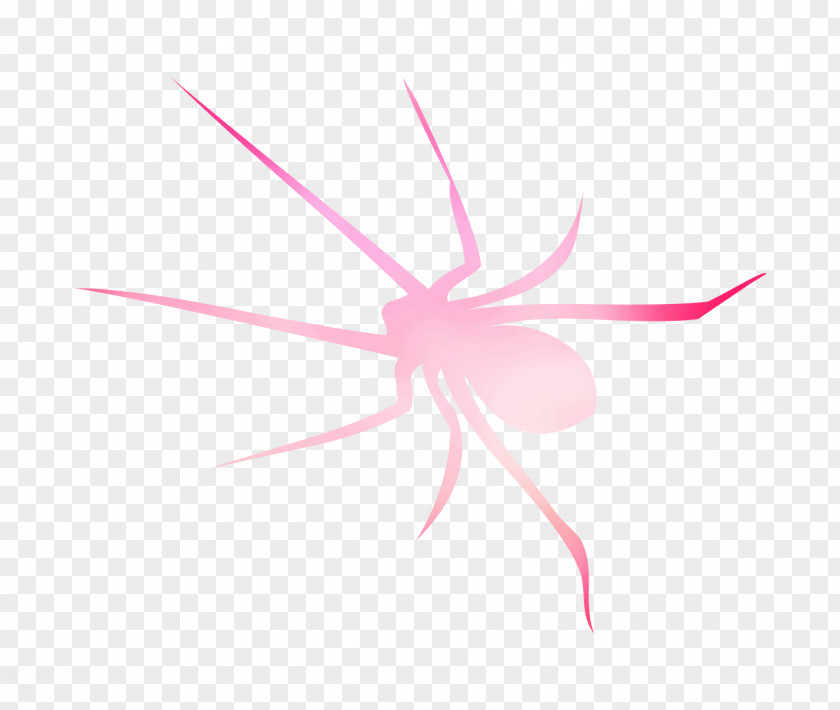 Insect Desktop Wallpaper Computer Font Pink M PNG