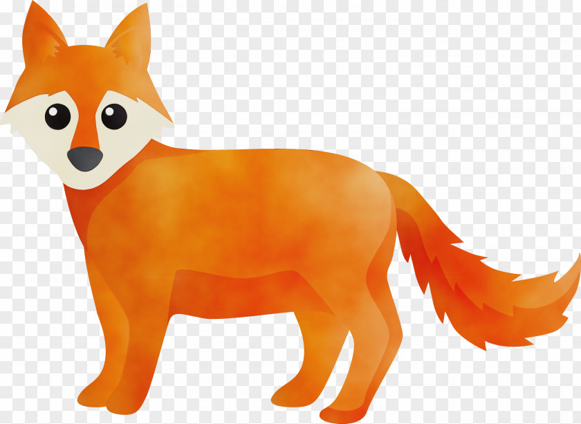 Orange PNG