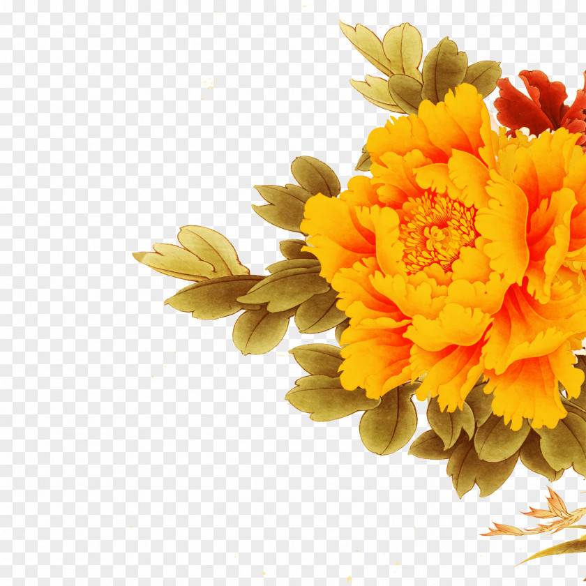 Peony Floral Design Moutan PNG