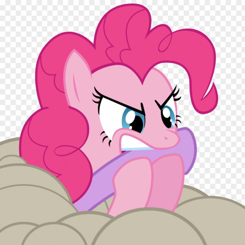 Pony Pinkie Pie Applejack Rarity Rainbow Dash PNG