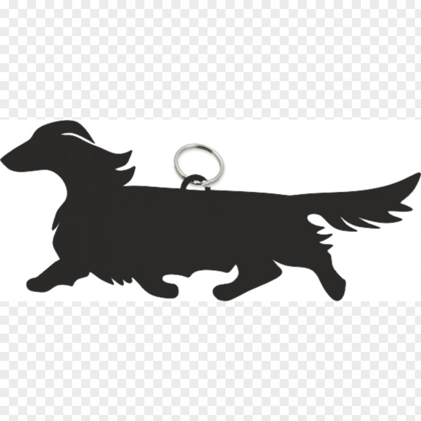 Puppy Dachshund German Wirehaired Pointer Basset Hound Teckel à Poil Dur PNG