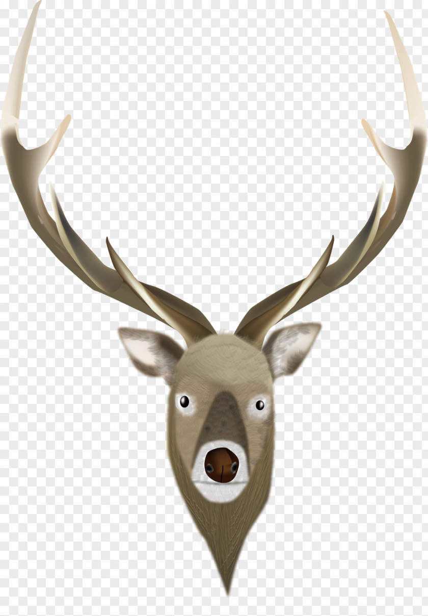 Reindeer White-tailed Deer Elk Antler PNG