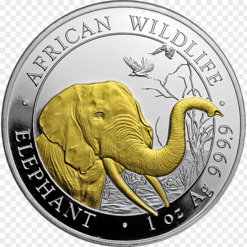 Silver Coin Perth Mint Somalia PNG