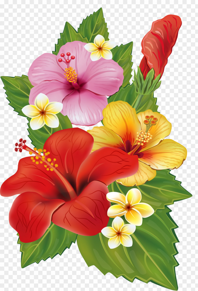 Tropical Flower Bouquet Decorative Arts Clip Art PNG