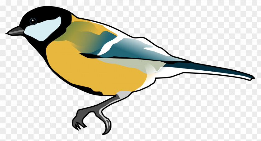 Birds Bird Finch Penguin Clip Art PNG