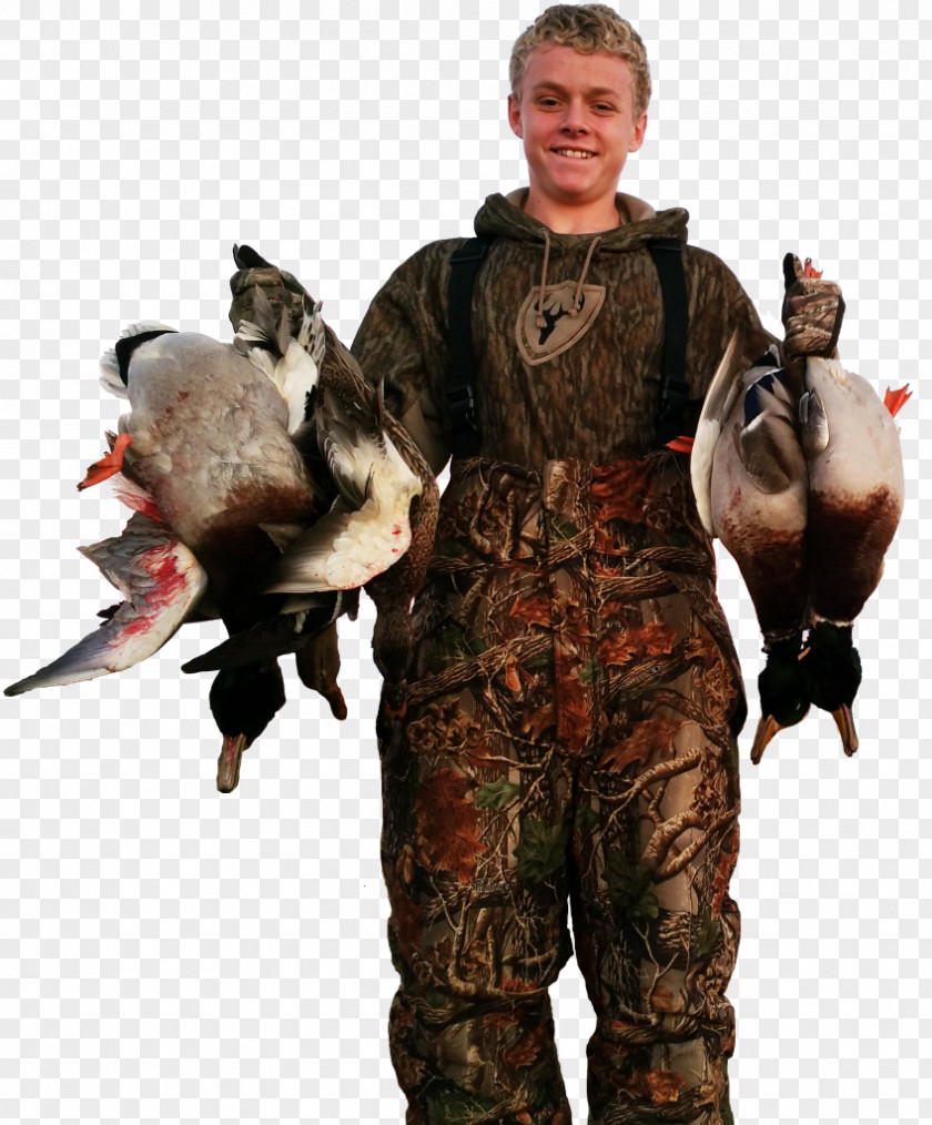 Duck Lac Qui Parle County, Minnesota Hunting Mallard PNG