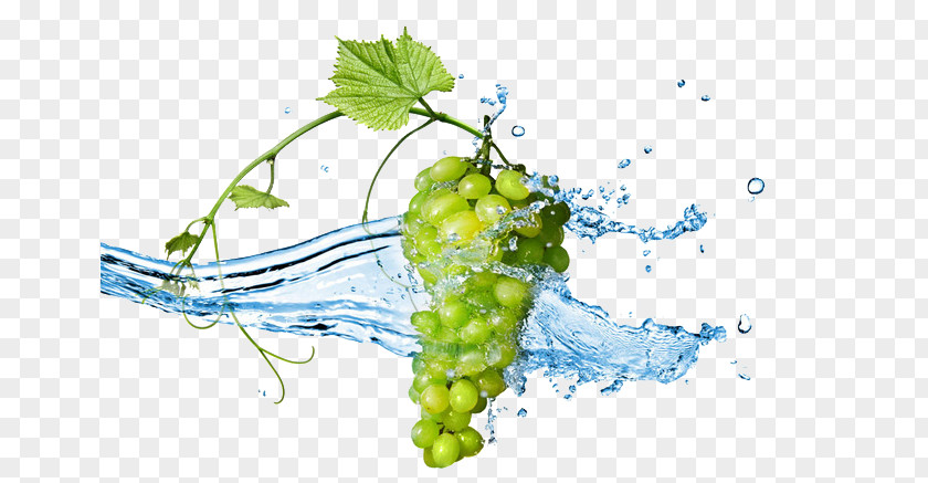 Grape Stock Photography Infusion Fruit Wallpaper PNG