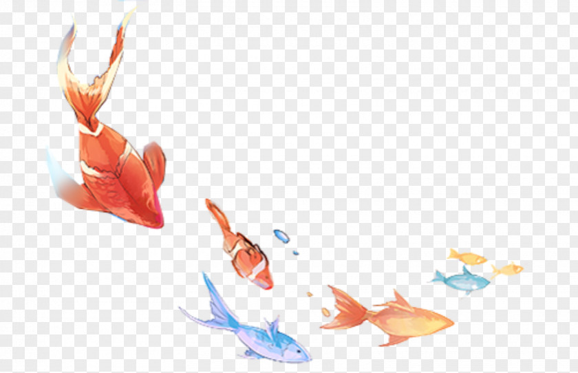 Koi Flyer Adobe Photoshop Fish Water Raster Graphics Editor PNG