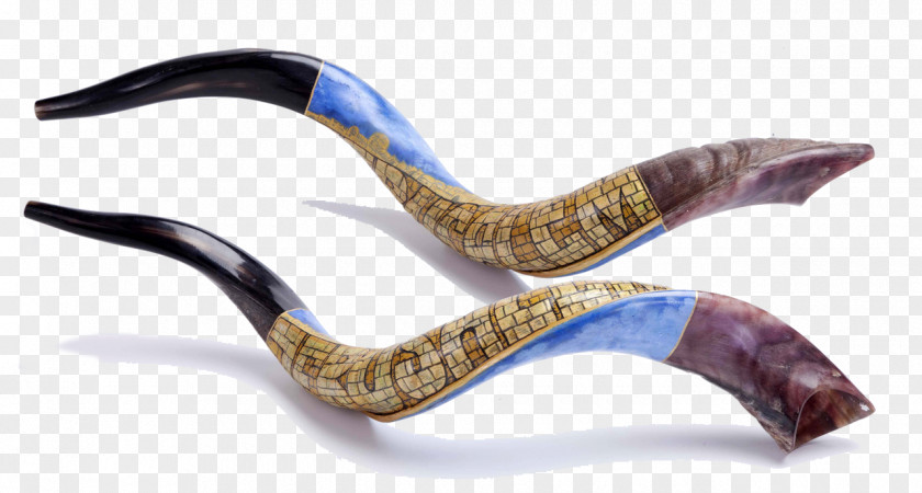 Musical Instruments Shofar: The Instrument Of God Israel PNG