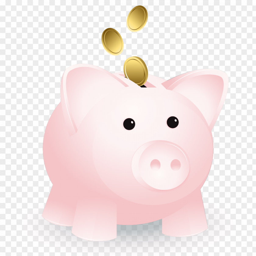 Piggy Bank Saving Snout PNG