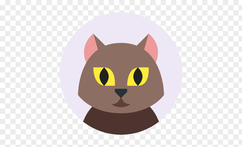 Profile Cat User Avatar PNG
