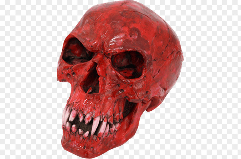 Skull Vampire Count Dracula Skeleton Fang PNG