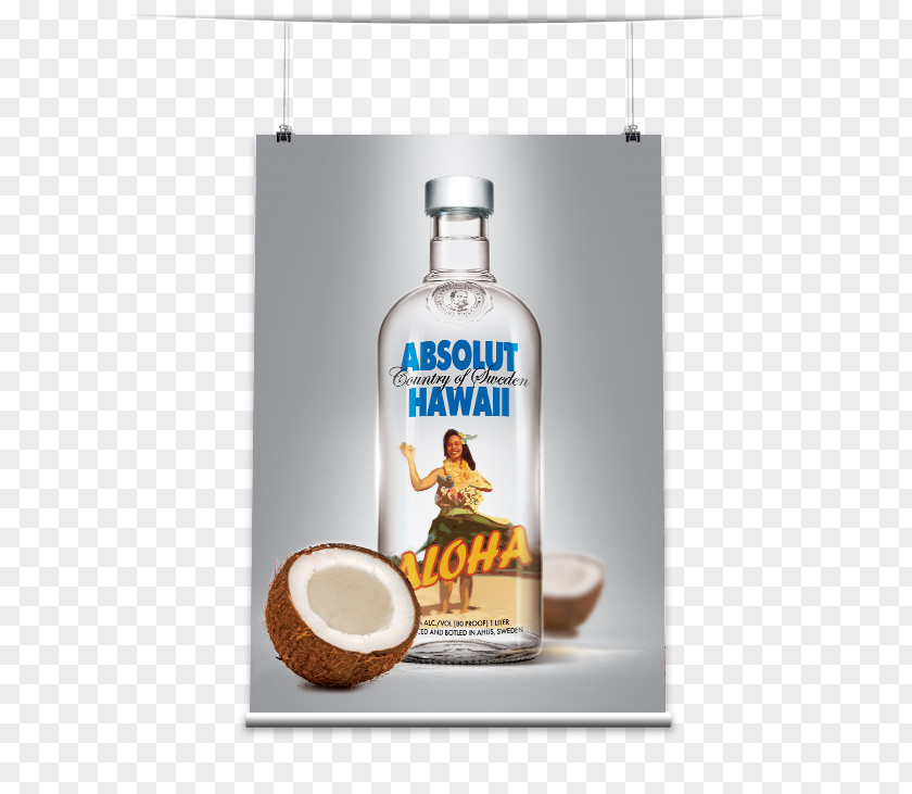 Vodka Liqueur Absolut Mockup Fizzy Drinks PNG