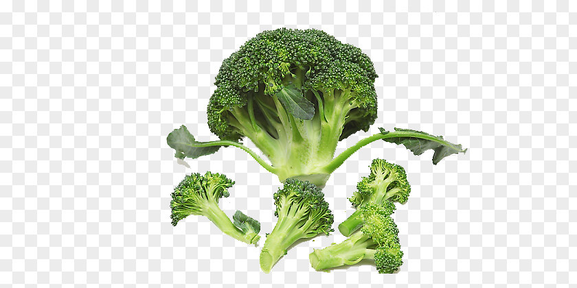 A Broccoli Cauliflower Vegetable Food Nutrition PNG