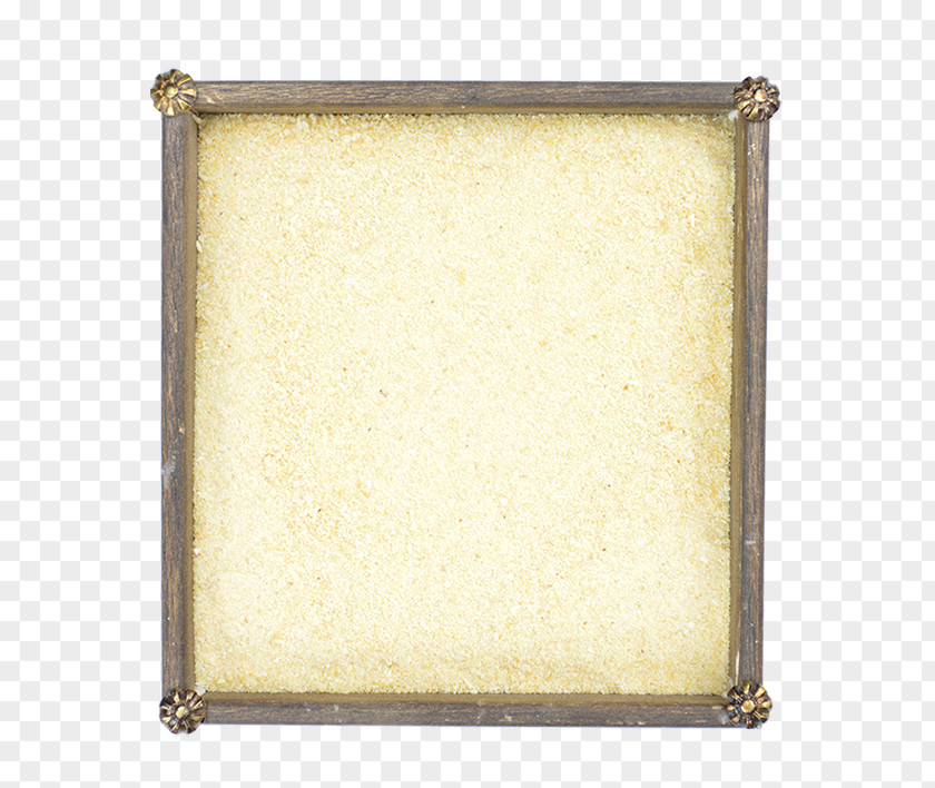 Allium Gladiator Picture Frames Rectangle Image PNG