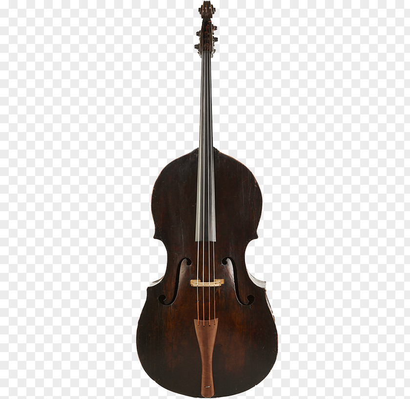 Bass Guitar Violin Violone Double Viola Octobass PNG