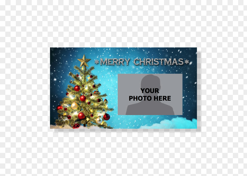 Christmas Tree Day Greeting & Note Cards Wish Gift PNG
