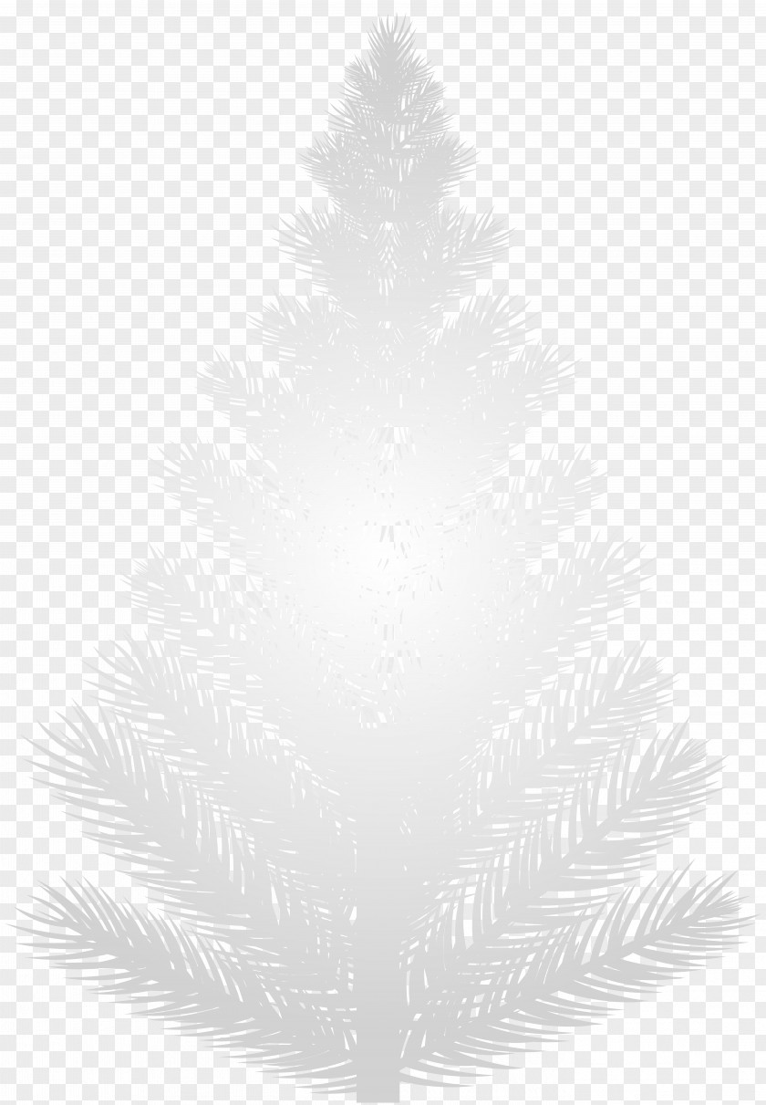 Christmas Tree Spruce Fir Pine Ornament PNG