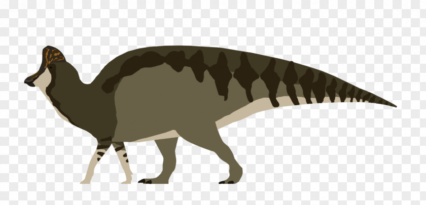 Dinosaur Magnapaulia Reptile Maiasaura Corythosaurus Shantungosaurus PNG
