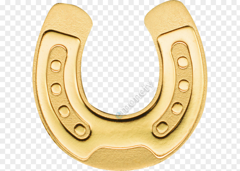 Horseshoe Golden Coin PNG