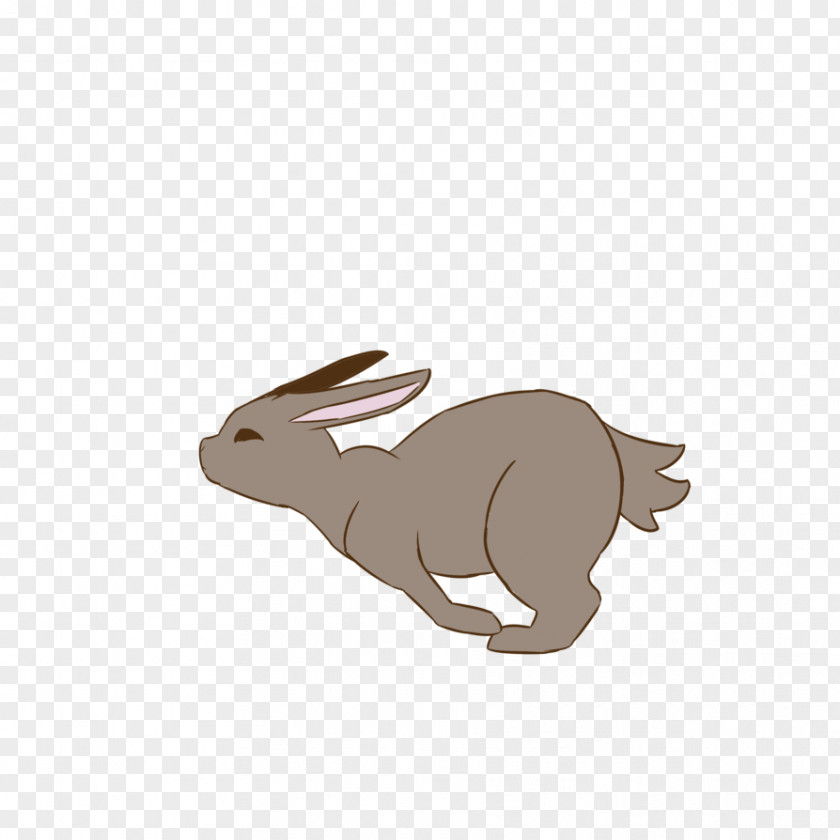 Rabbit Domestic Hare Walk Cycle Easter Bunny PNG