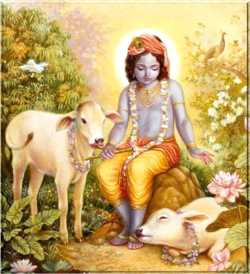 Radha Krishna Highland Cattle Janmashtami Vrindavan Krsna, The Supreme Personality Of Godhead PNG