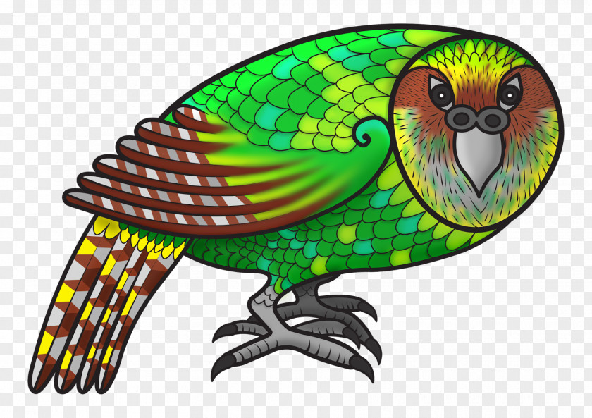 Samoan Tapa Cloth Māori Language Macaw Manu People Learning PNG