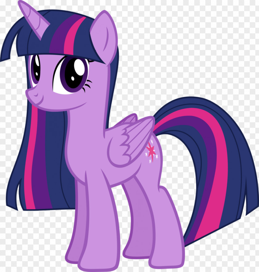 Sparkle Twilight Rarity My Little Pony DeviantArt PNG