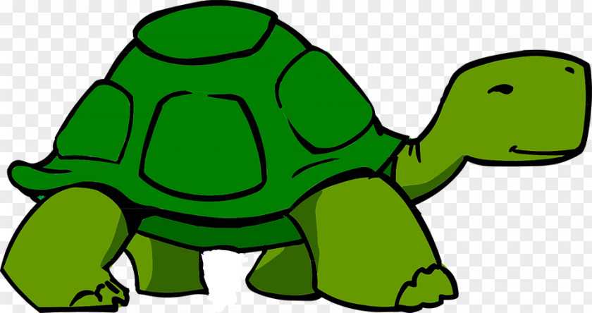 Turtle Clip Art Animation Image Drawing PNG