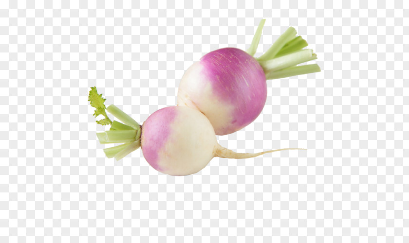 Vegetable Turnip Food Vegetarian Cuisine PNG