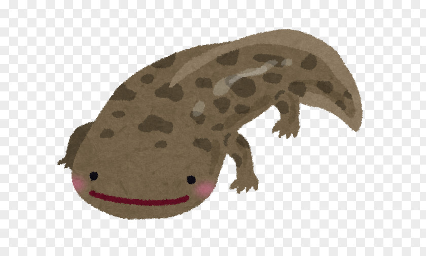 Amphibian 黄村先生言行録 Japanese Giant Salamander Cryptobranchoidea Natural Monument PNG