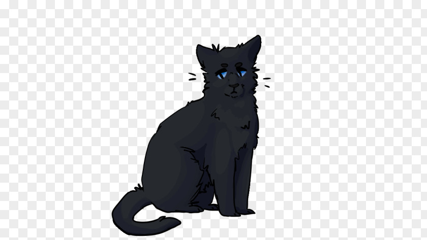 Kitten Black Cat Domestic Short-haired Whiskers PNG