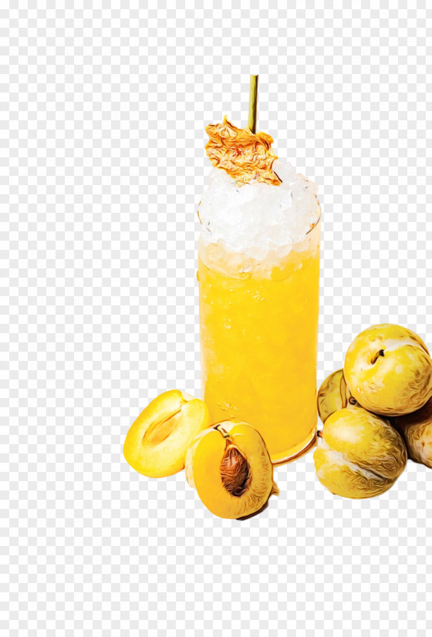 Cocktail Garnish Harvey Wallbanger Juice Flavor Fruit PNG