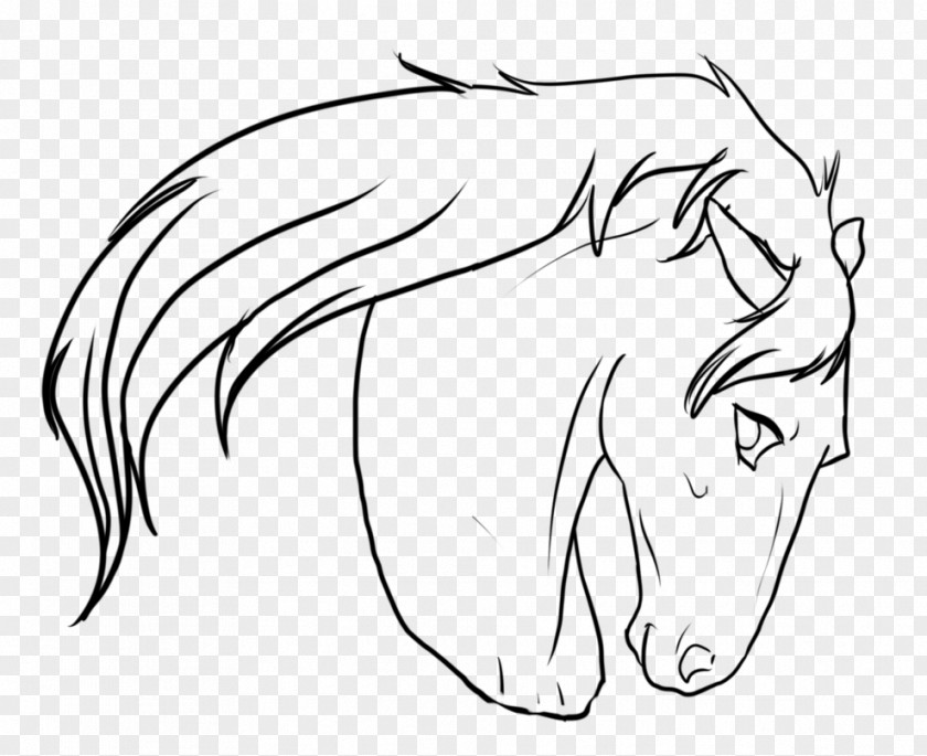 Bucking Horse Drawing Line Art Sketch PNG