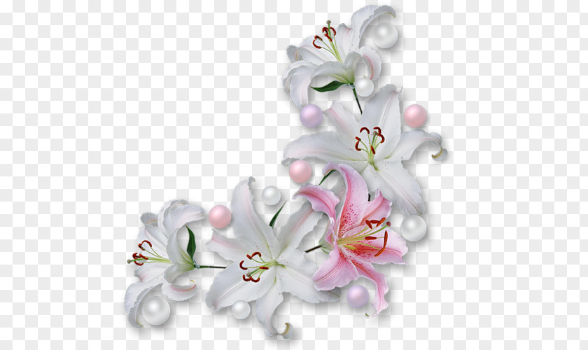 Chinese Wedding Easter Lily Flower Clip Art PNG