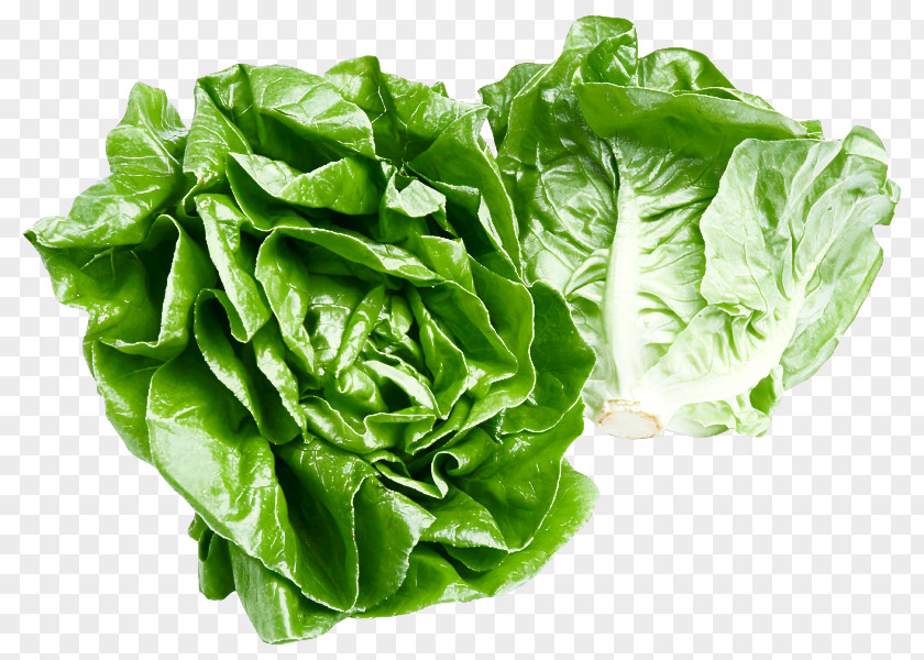 Choy Sum Lettuce Leaf Vegetable Food Plant PNG