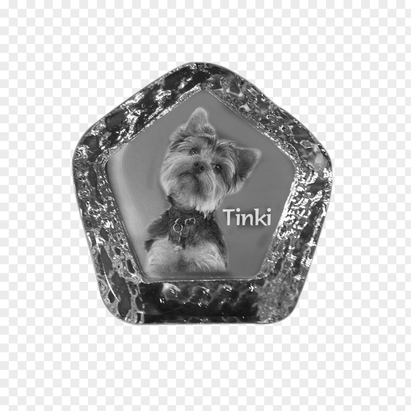 Crystal Ice Cubes Best 3D / 2D Lasers Gift Shape NASDAQ:IBB Product PNG