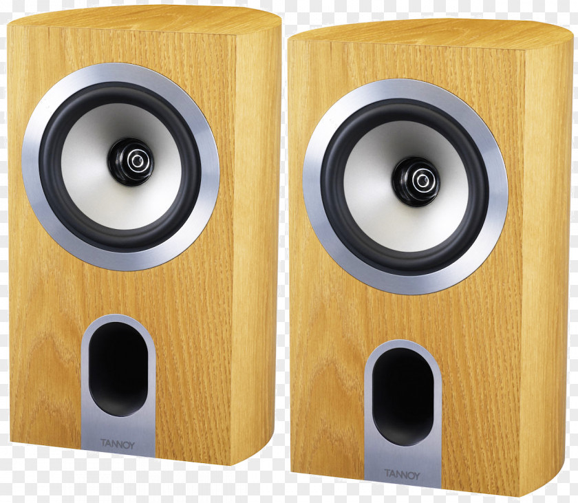 Tannoy Subwoofer Studio Monitor Computer Speakers Loudspeaker PNG