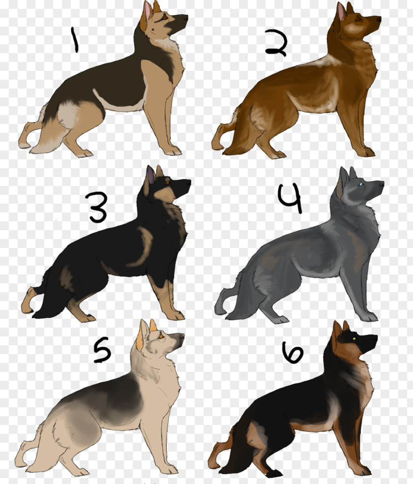 All About German Shepherds Shepherd Dog Breed Group (dog) 1012 WX PNG