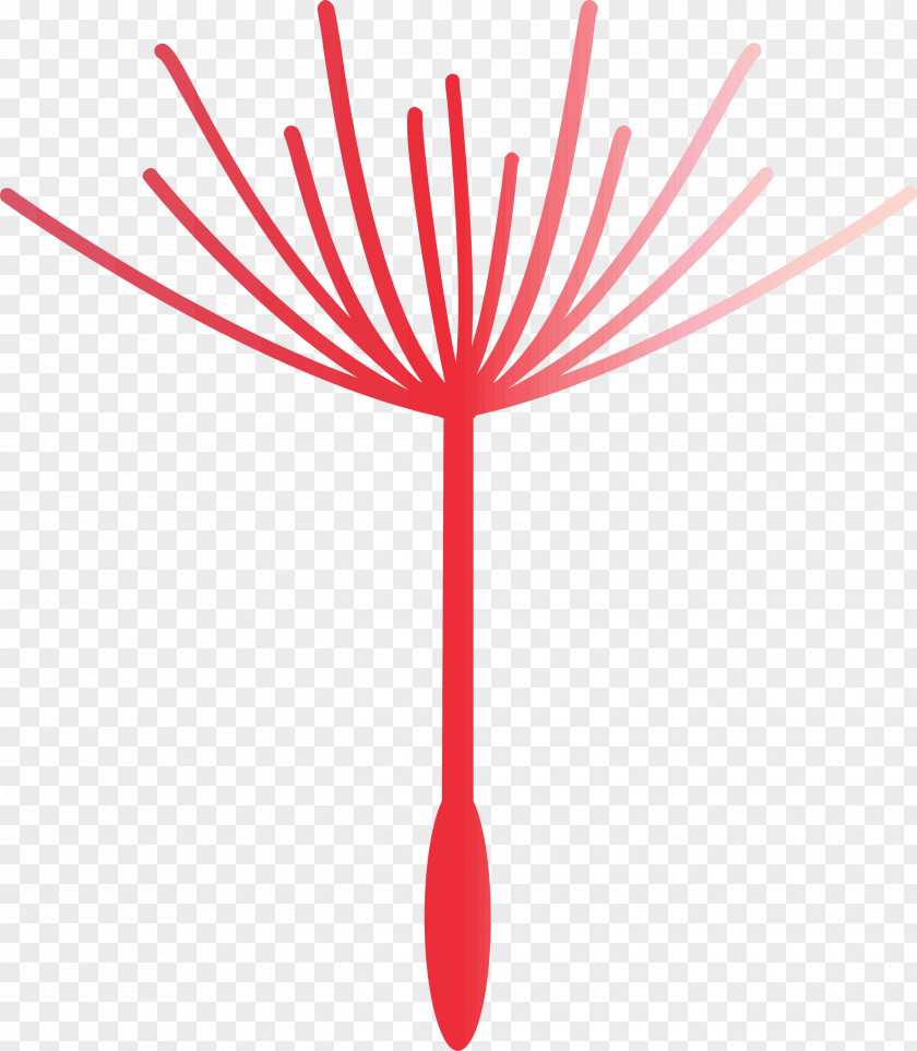 Dandelion PNG